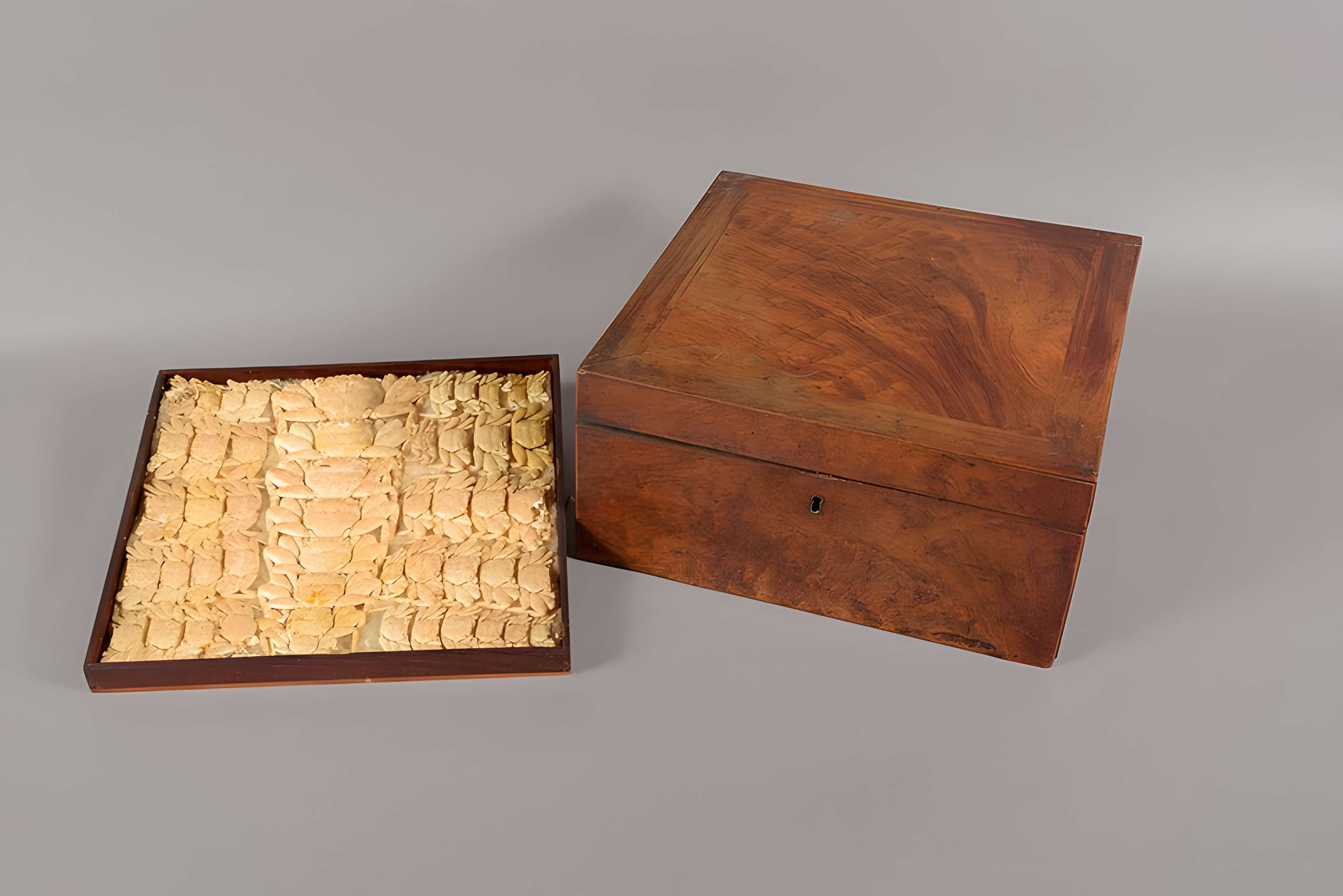 Muséum d'histoire naturelle Esprit Requien