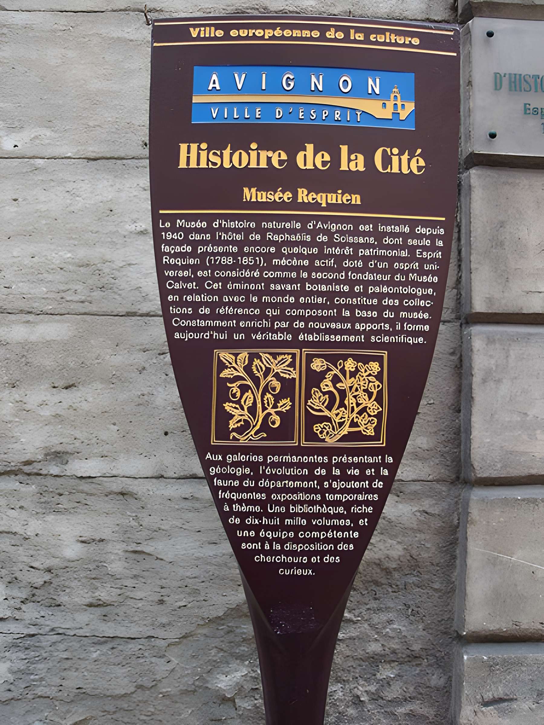 Muséum d'histoire naturelle Esprit Requien