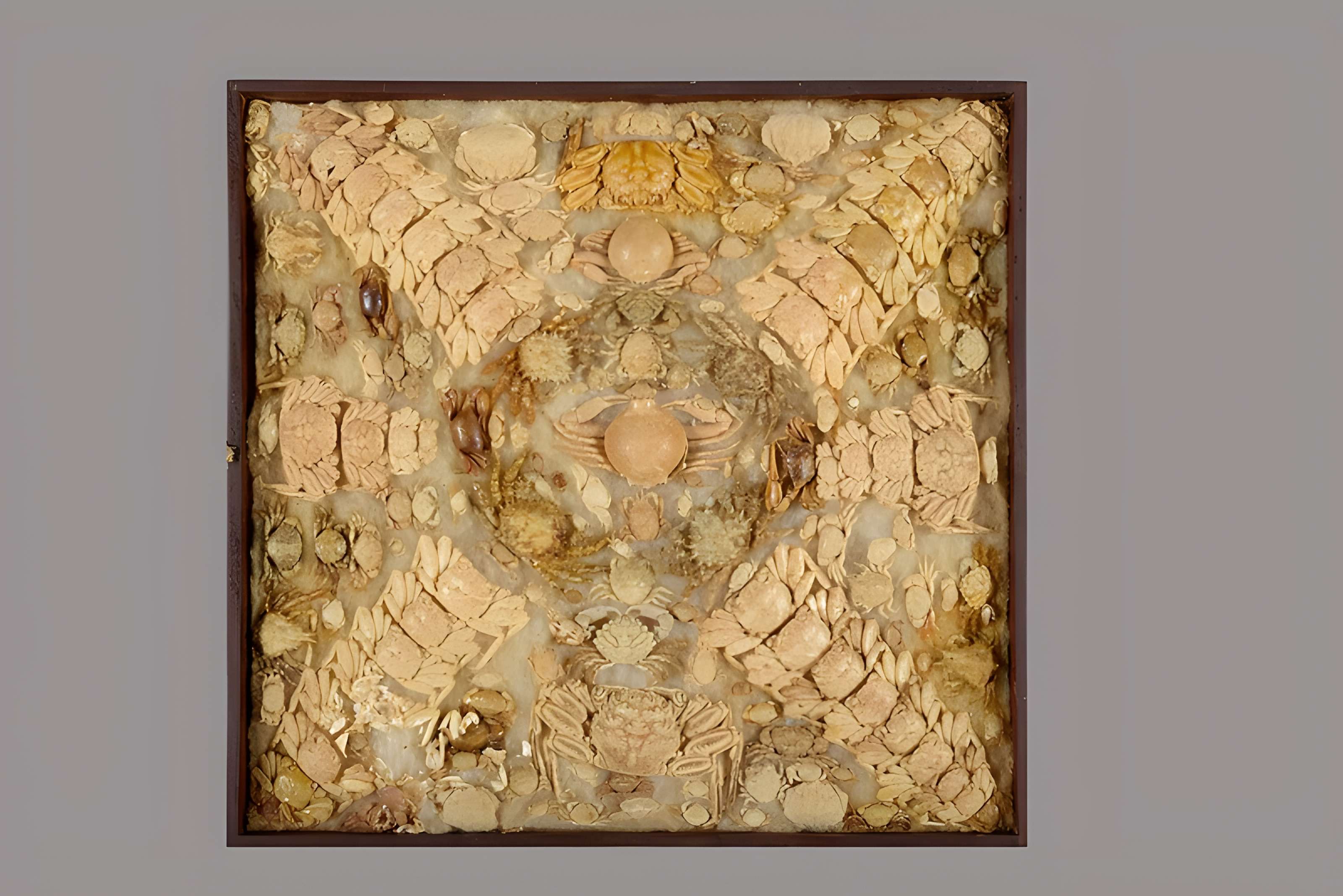 Muséum d'histoire naturelle Esprit Requien