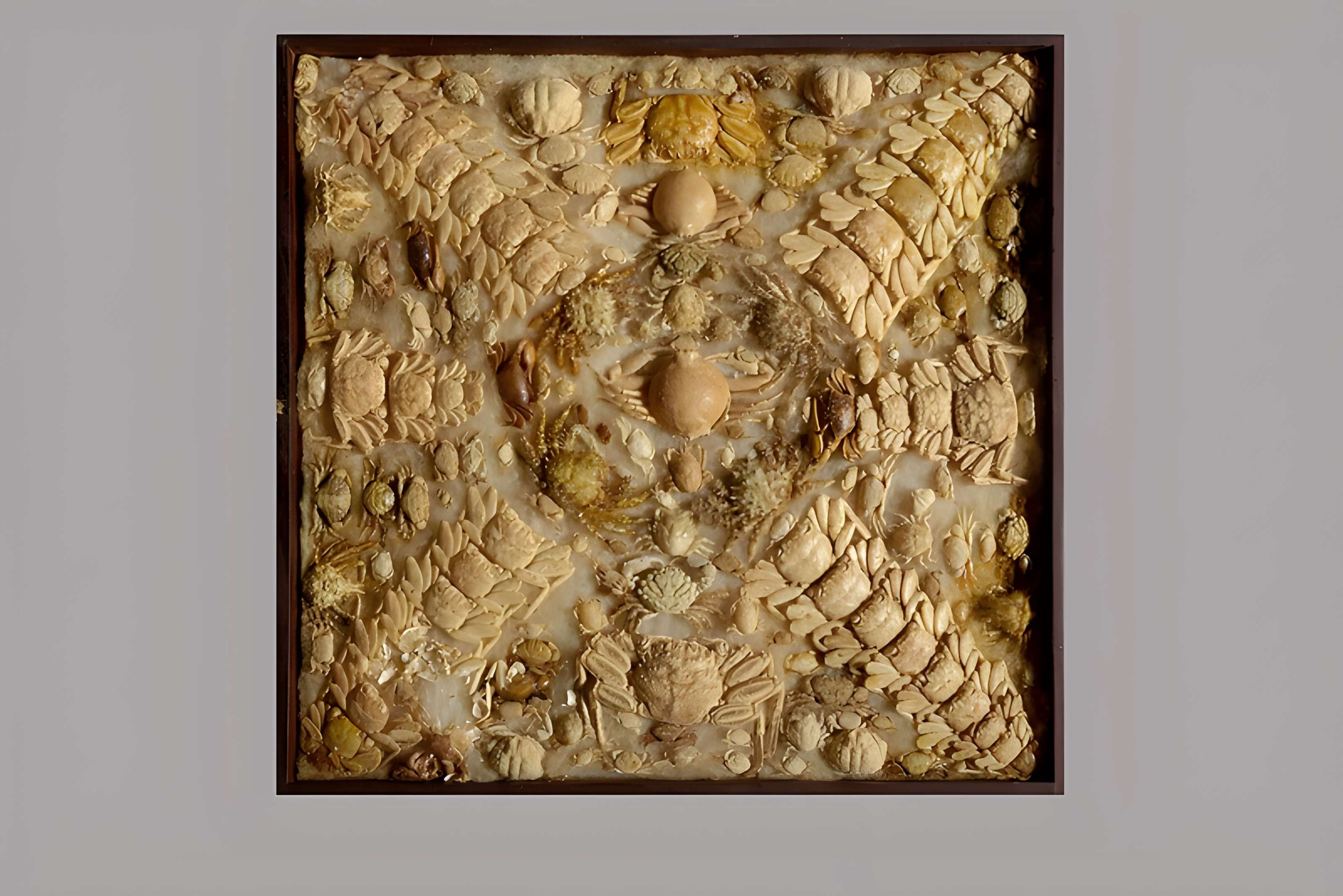 Muséum d'histoire naturelle Esprit Requien