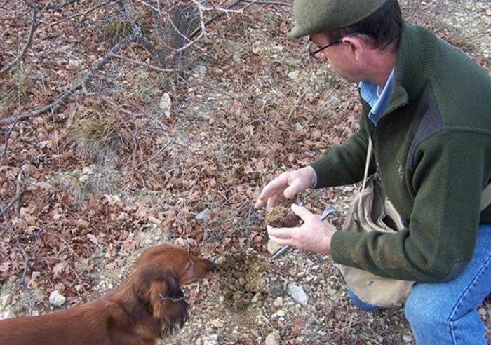 Photo de Musée de la Rabasse du Ventoux
