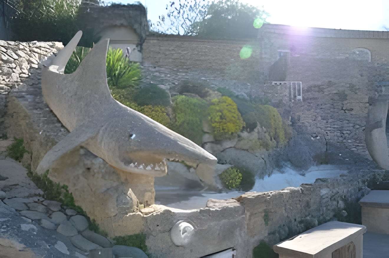 Musée extraordinaire de Georges Mazoyer 