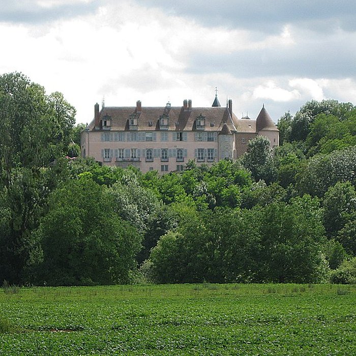 Photo de Château de Torpes