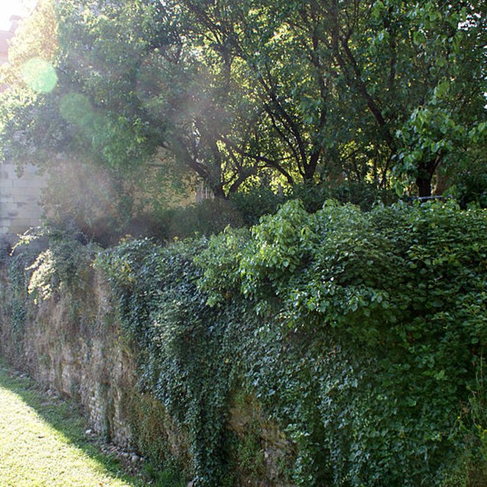 Photo de Château de Tours