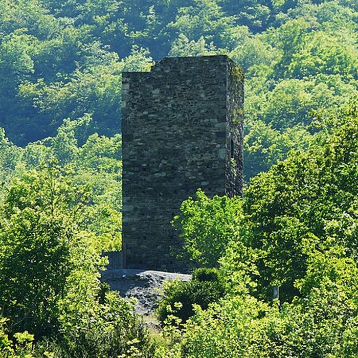 Photo de Château de Tramezaygues