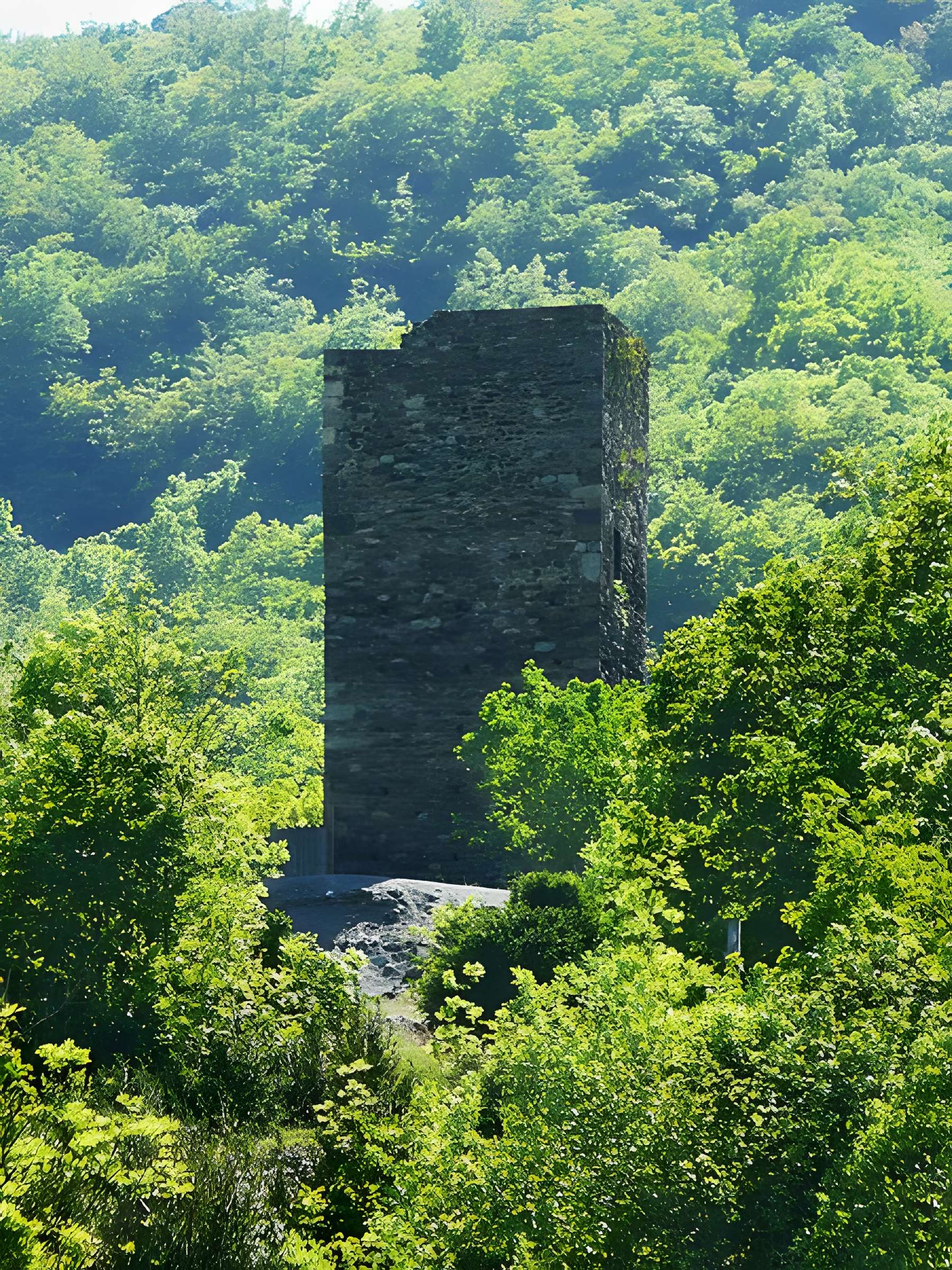 Château de Tramezaygues