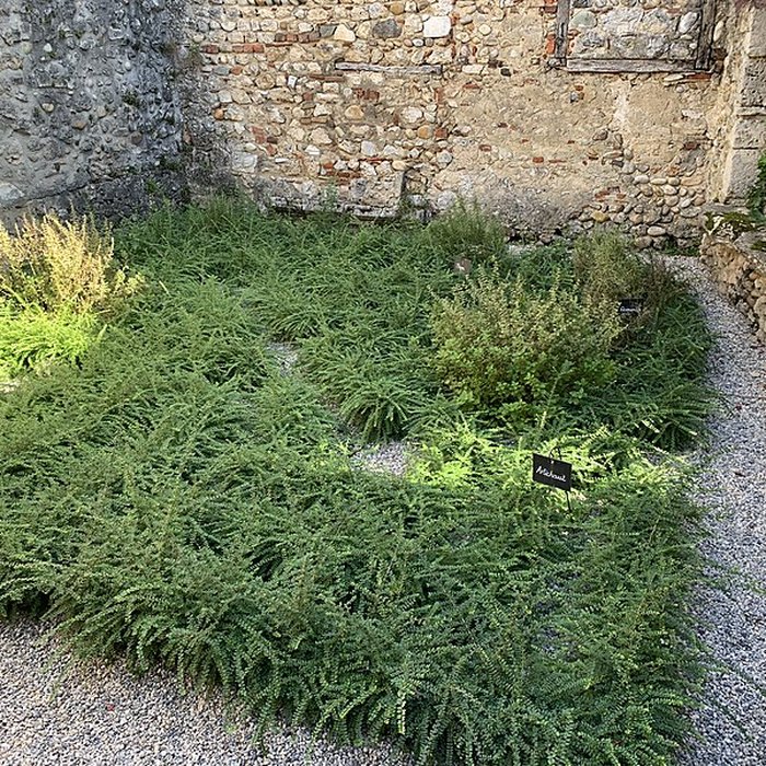 Photo de Musée du Vieux Pérouges