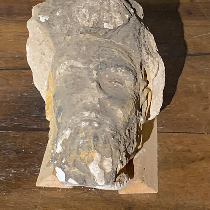 Photo de Musée du Vieux Pérouges