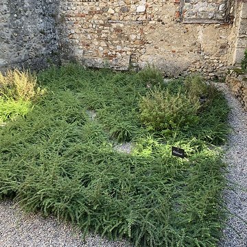 Musée du Vieux Pérouges