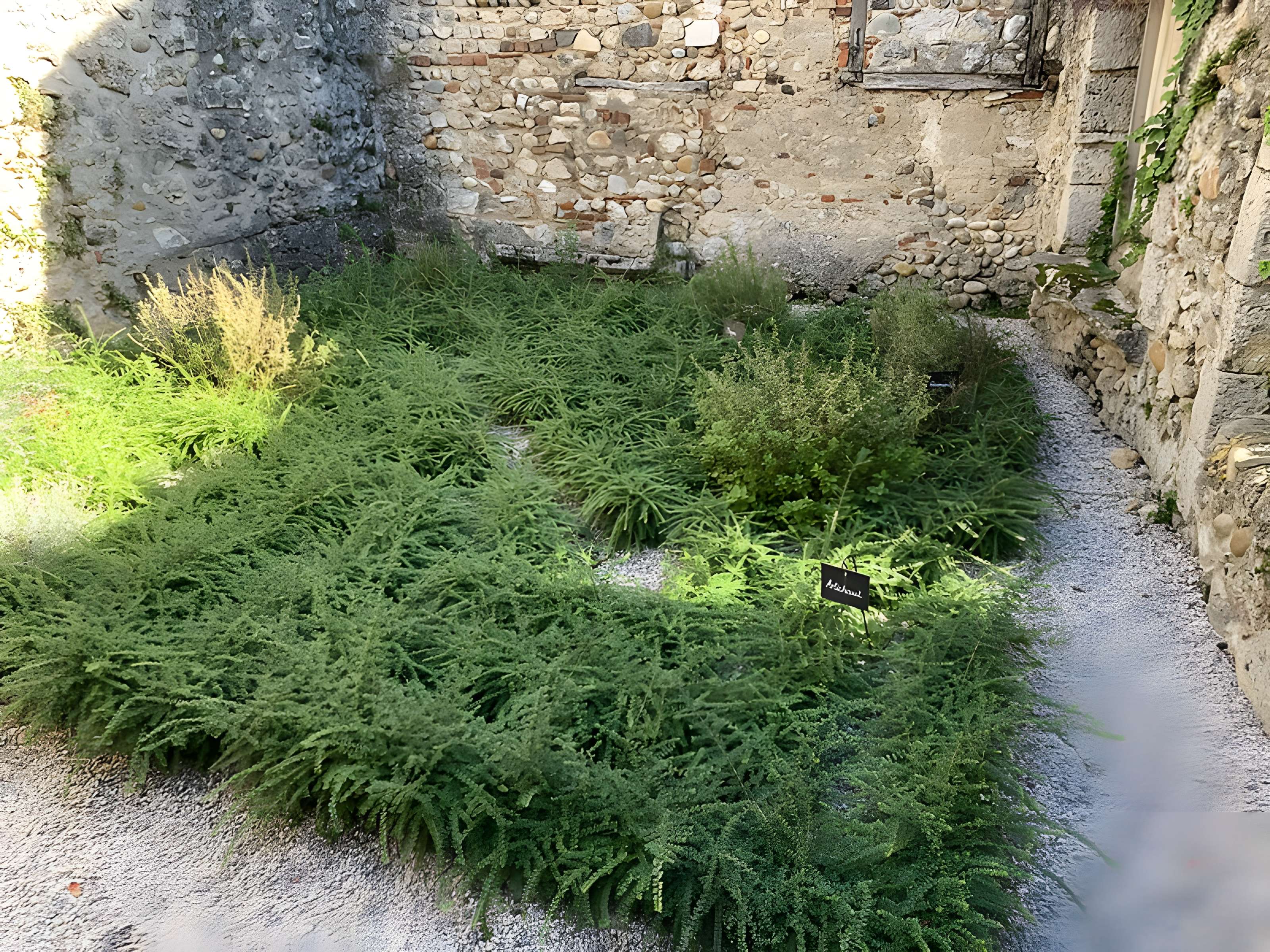 Musée du Vieux Pérouges