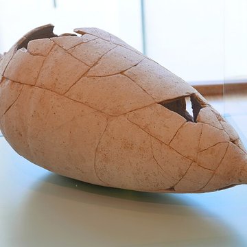 Musée dart et darchéologie de Valence