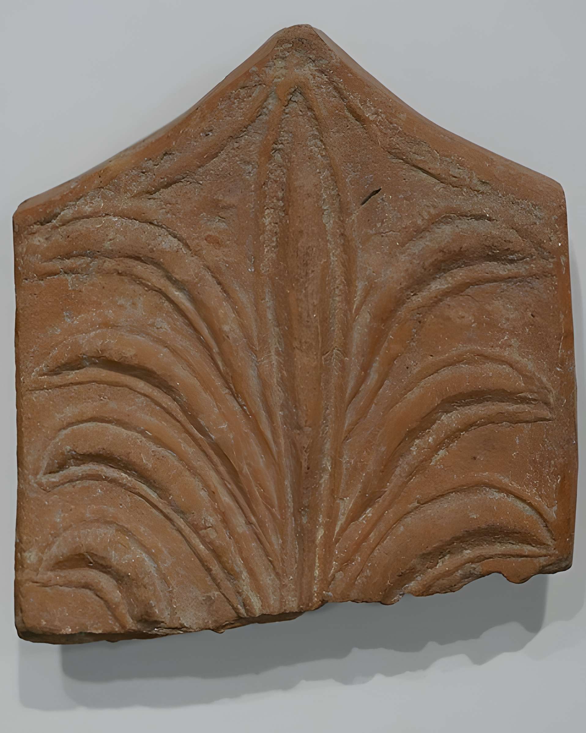 Musée d'art et d'archéologie de Valence