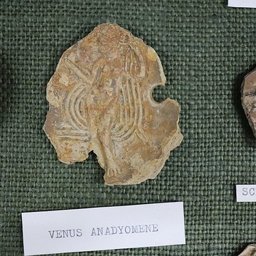 Musée dhistoire et darchéologie de Die et du Diois