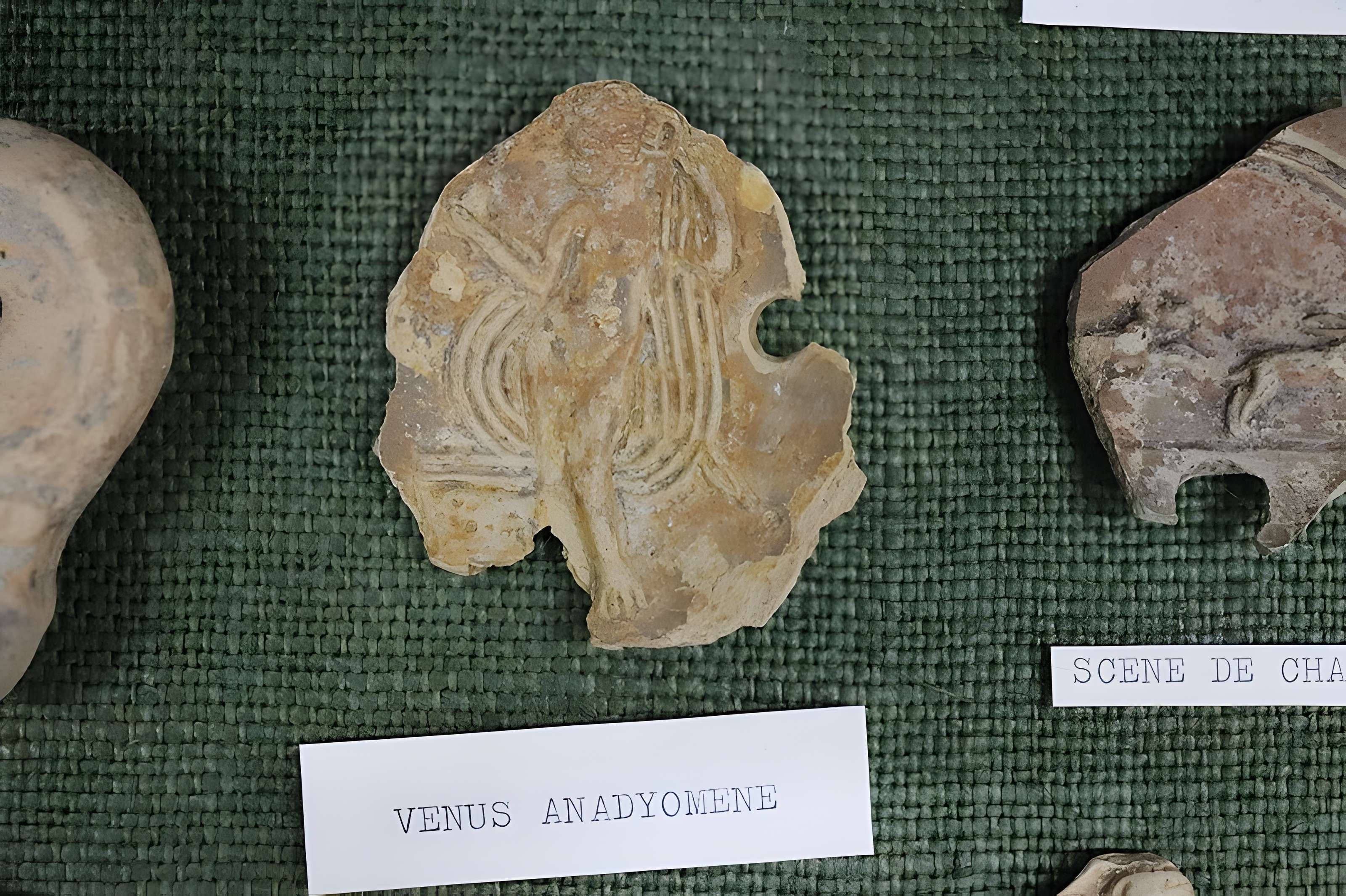 Musée d'histoire et d'archéologie de Die et du Diois