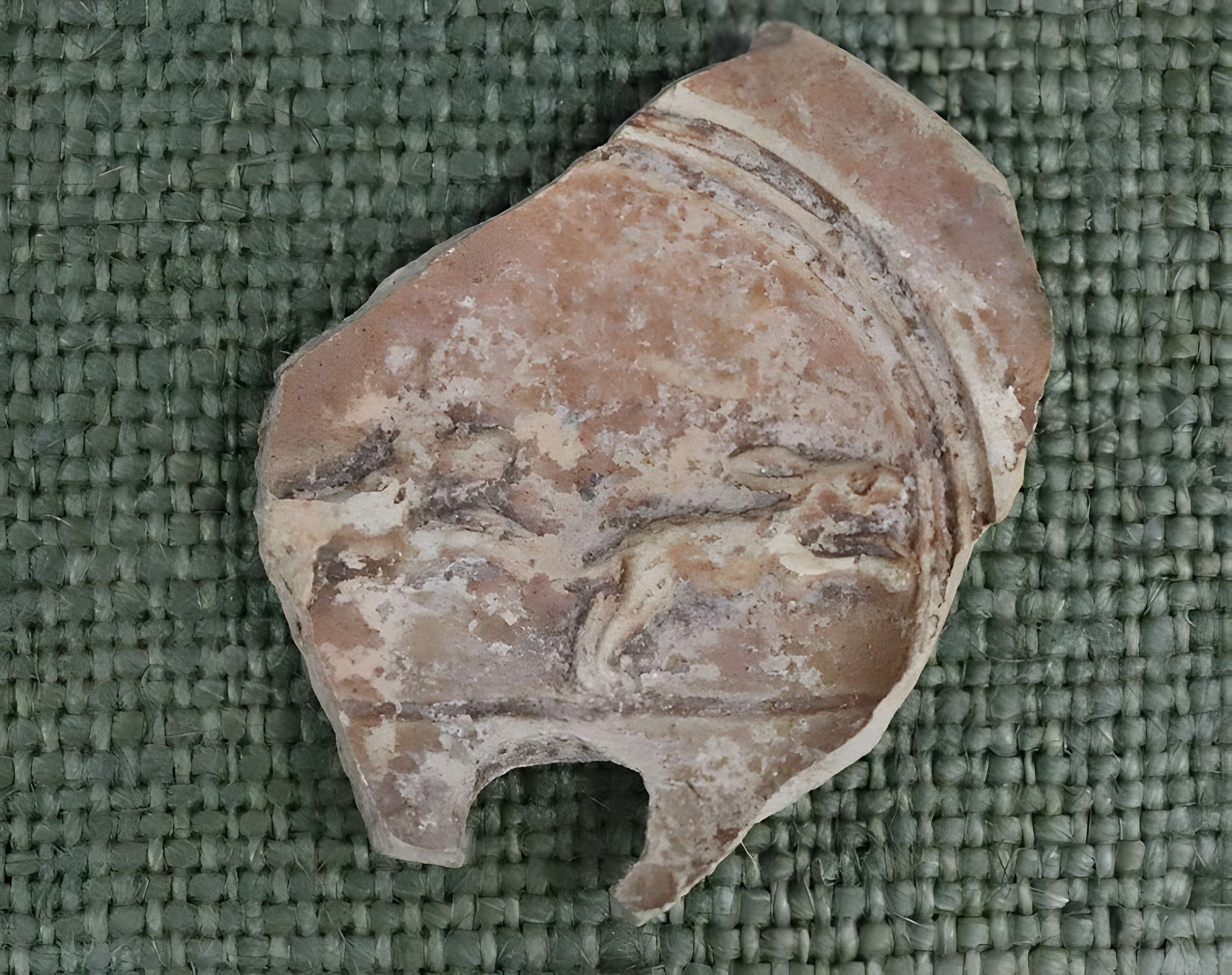 Musée d'histoire et d'archéologie de Die et du Diois