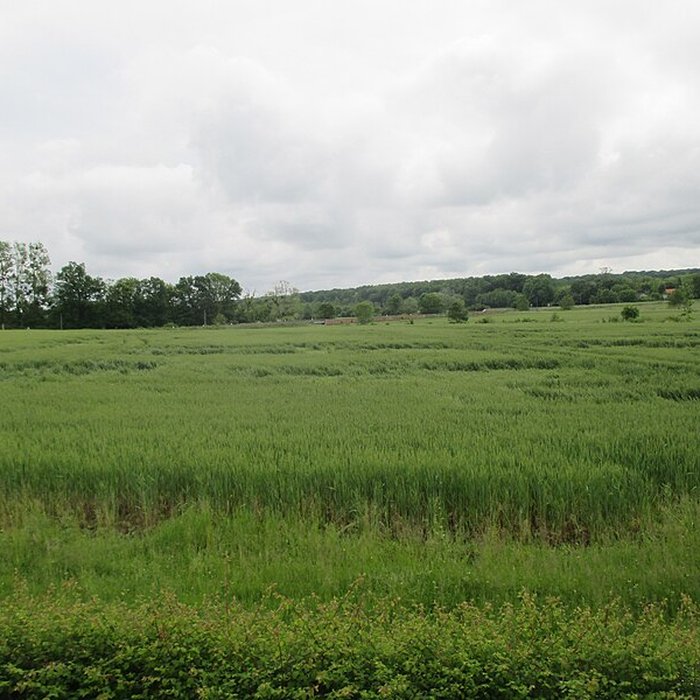 Photo de Abbaye de Cîteaux