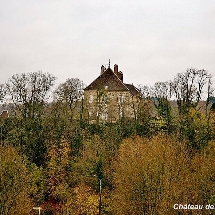 Photo de Château de Vaire-le-Grand