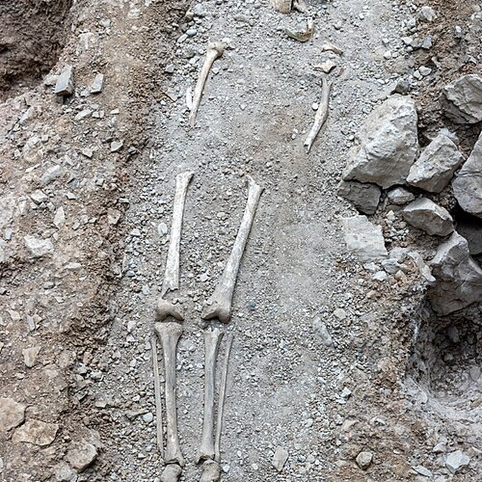 Photo de Musée archéologique Grenoble Saint-Laurent