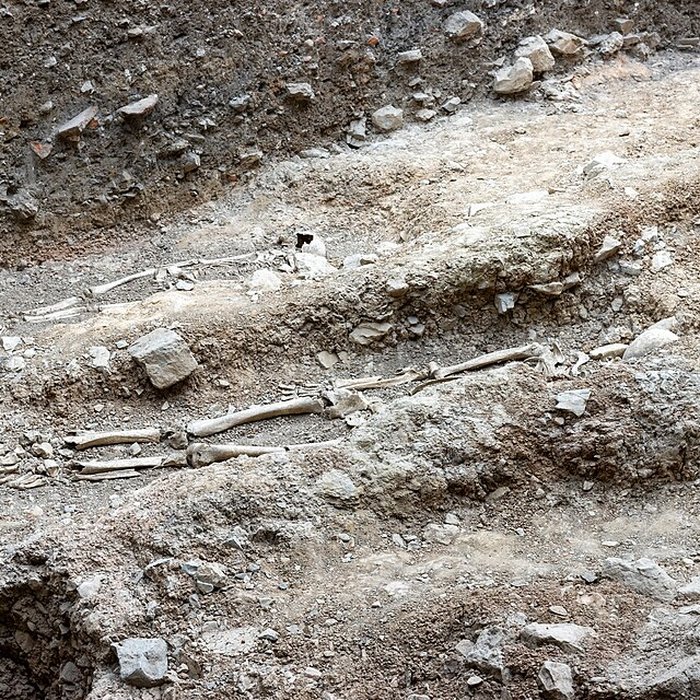 Photo de Musée archéologique Grenoble Saint-Laurent