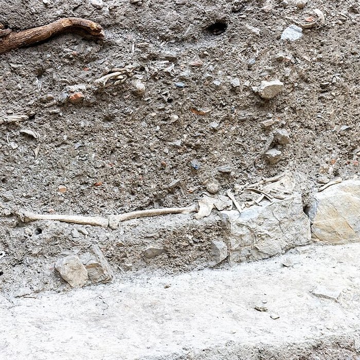 Photo de Musée archéologique Grenoble Saint-Laurent