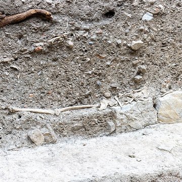 Musée archéologique Grenoble Saint-Laurent