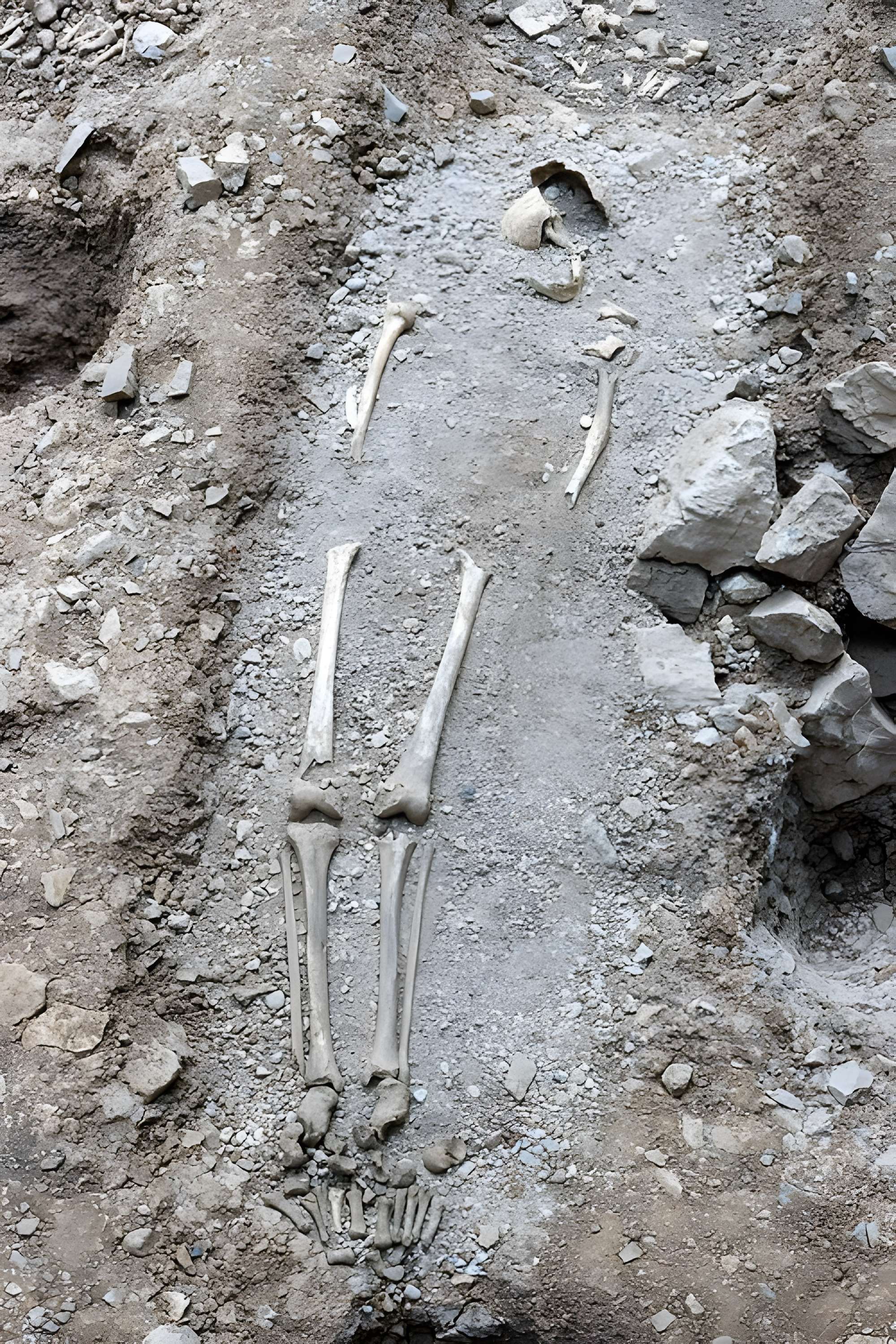 Musée archéologique Grenoble Saint-Laurent