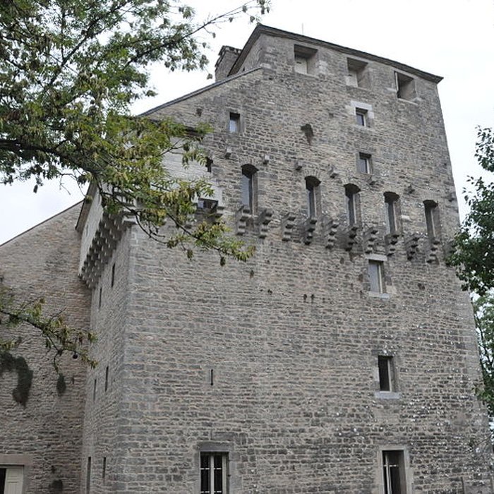 Photo de Château de Vallerois-le-Bois