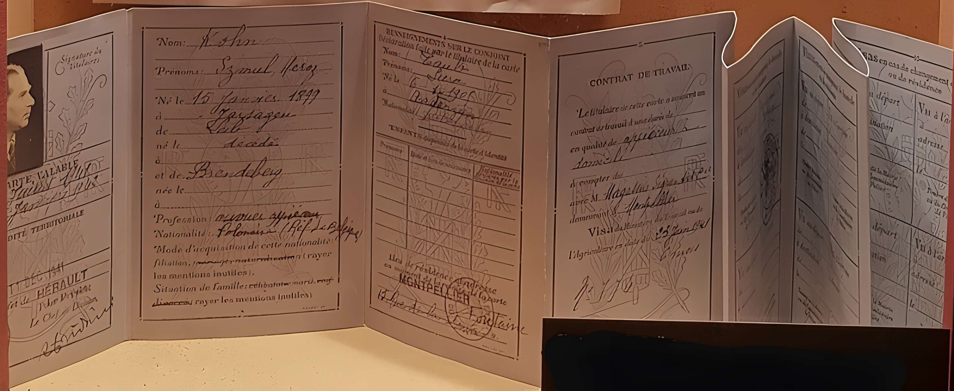 Musée de la Résistance et de la Déportation de l'Isère