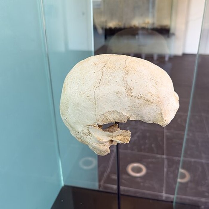 Photo de Musée de lAncien Évêché de Grenoble