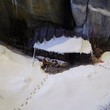 Musée de lAncien Évêché de Grenoble