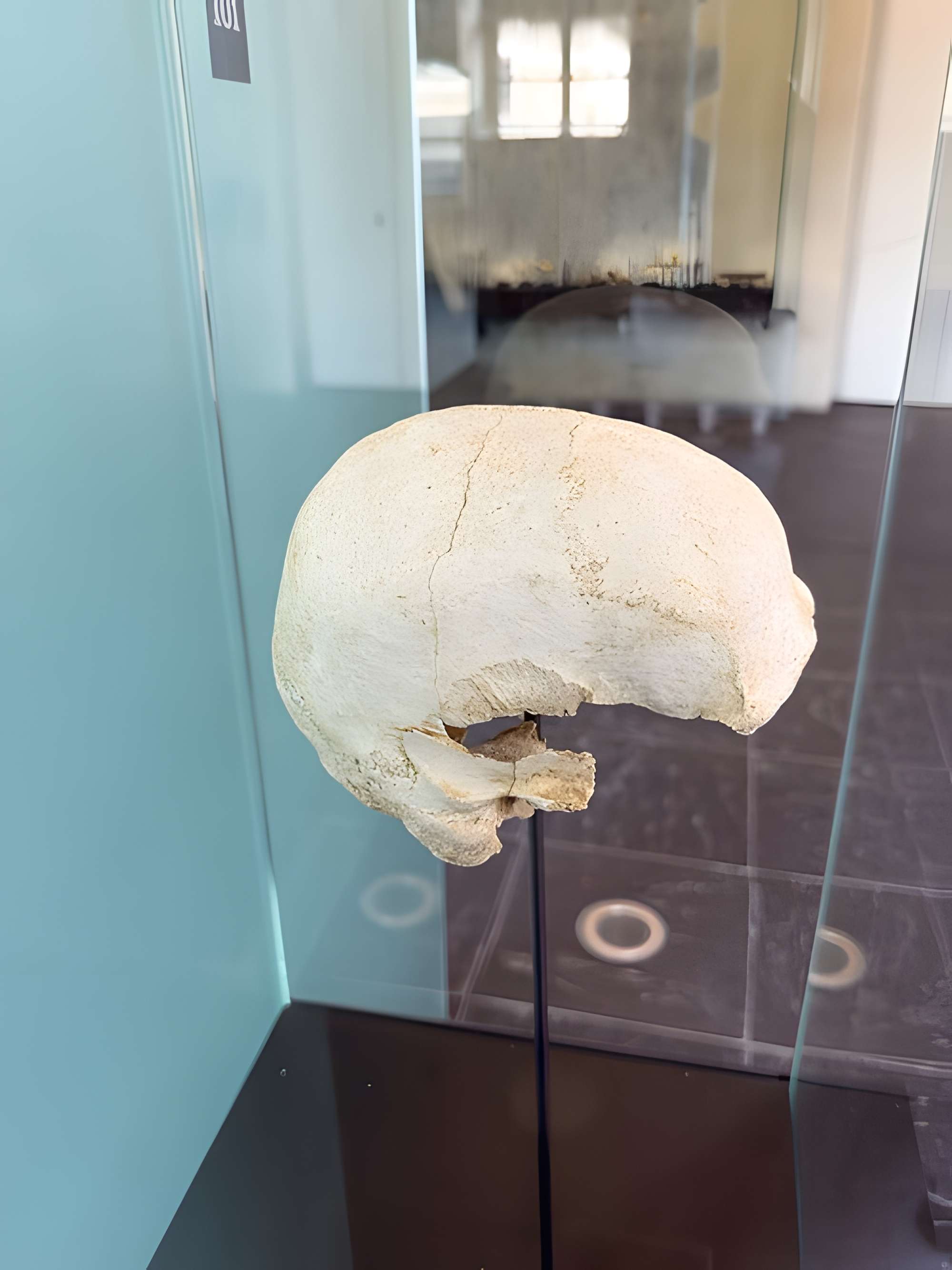 Musée de l'Ancien Évêché de Grenoble