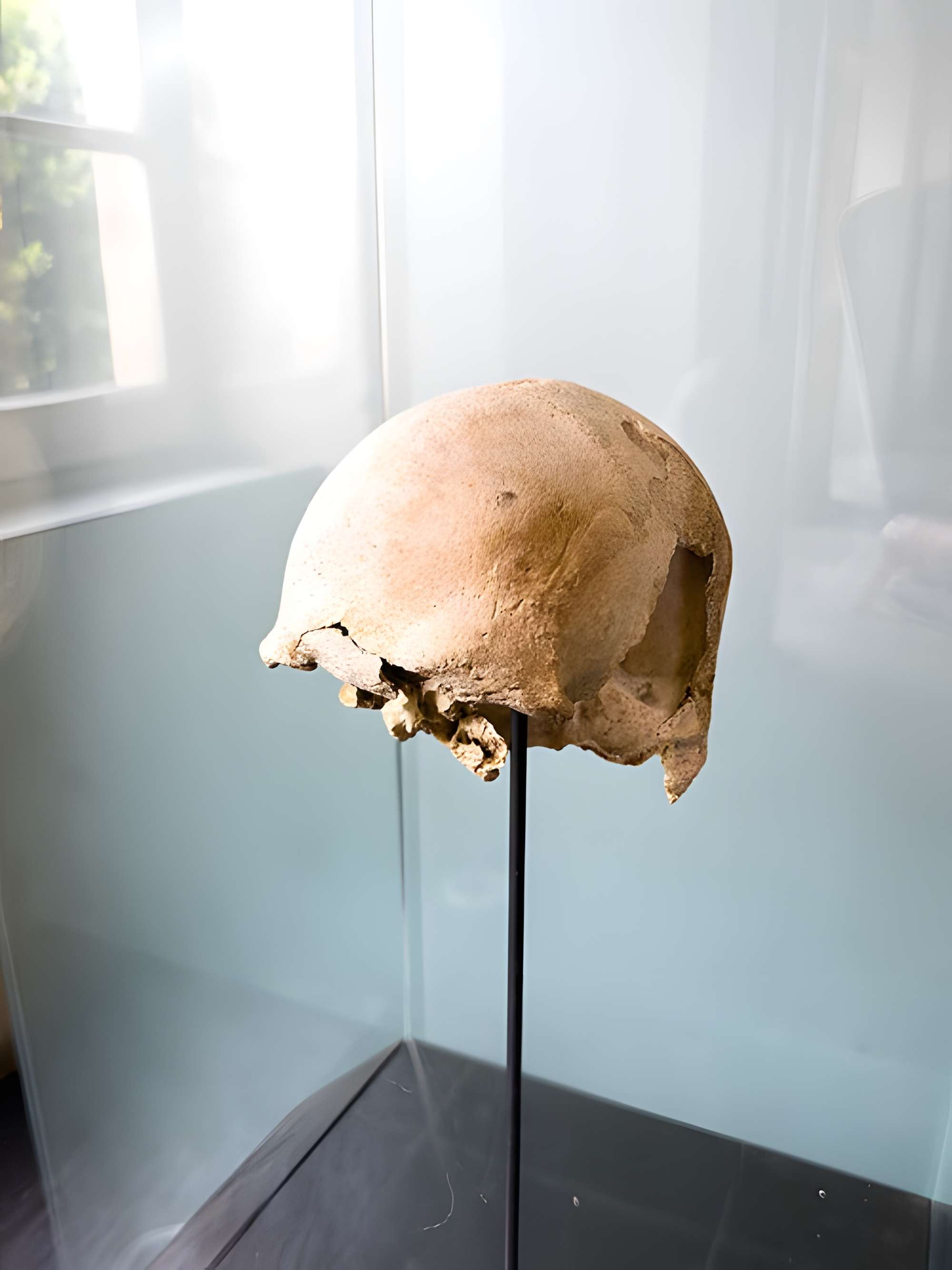 Musée de l'Ancien Évêché de Grenoble