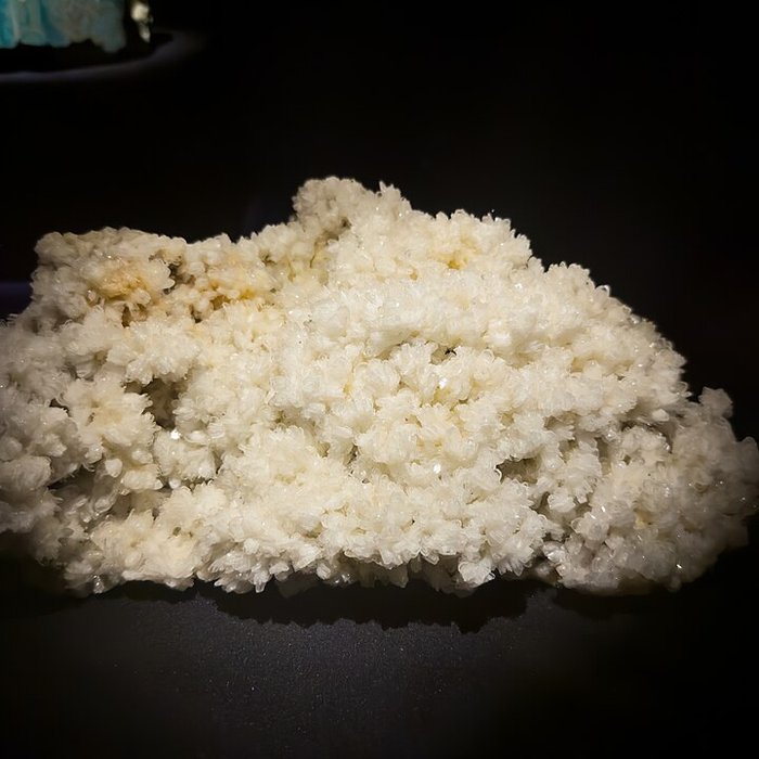 Photo de Muséum dhistoire naturelle de Grenoble