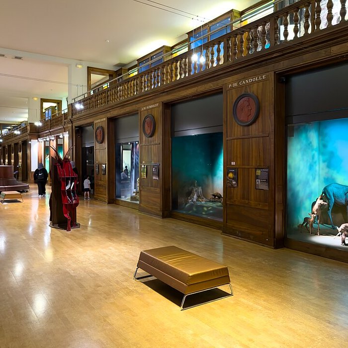 Photo de Muséum dhistoire naturelle de Grenoble