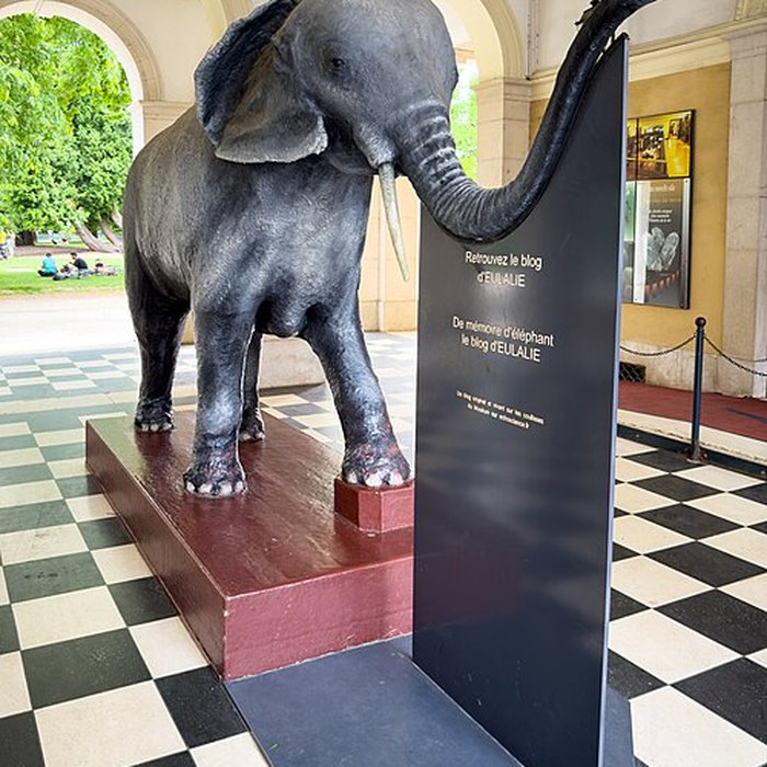 Photo de Muséum dhistoire naturelle de Grenoble