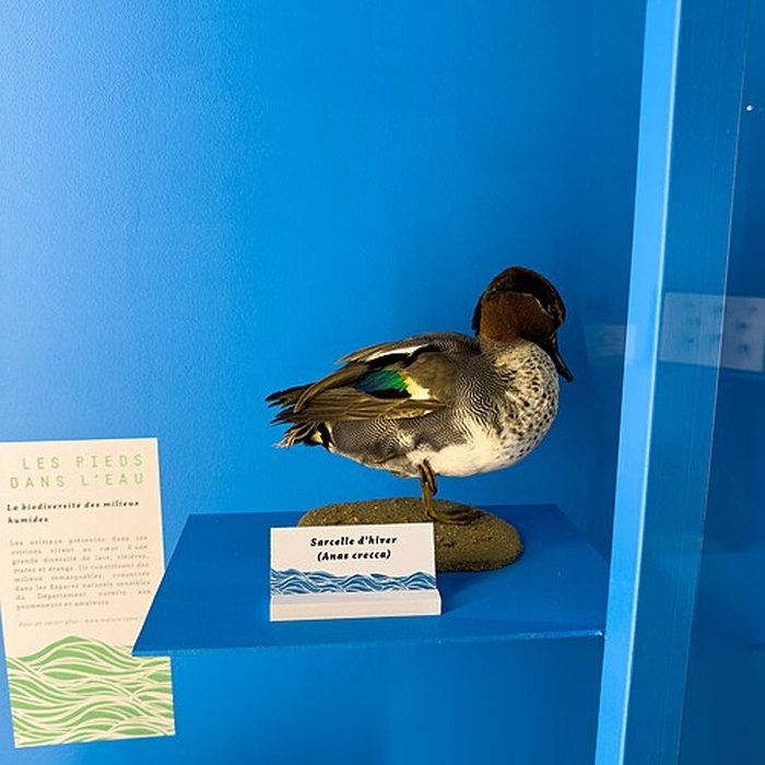 Photo de Muséum dhistoire naturelle de Grenoble