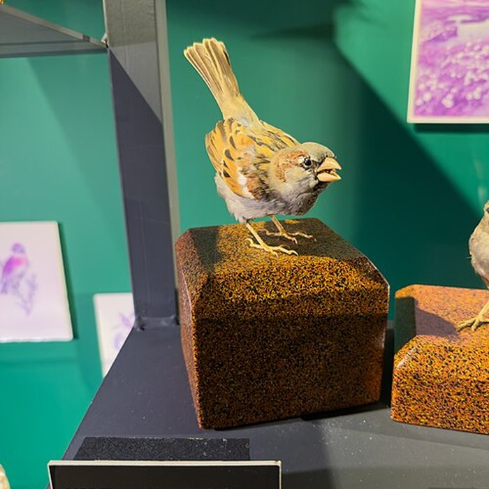 Photo de Muséum dhistoire naturelle de Grenoble