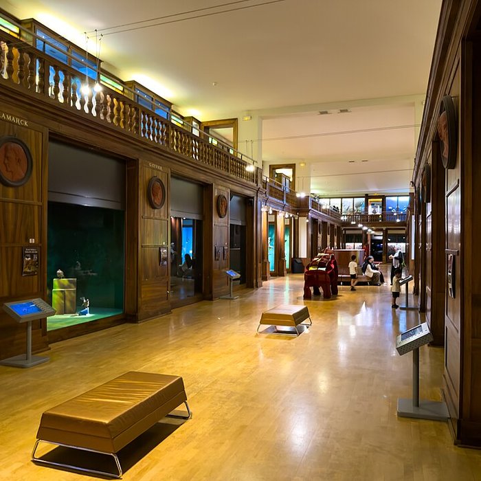 Photo de Muséum dhistoire naturelle de Grenoble