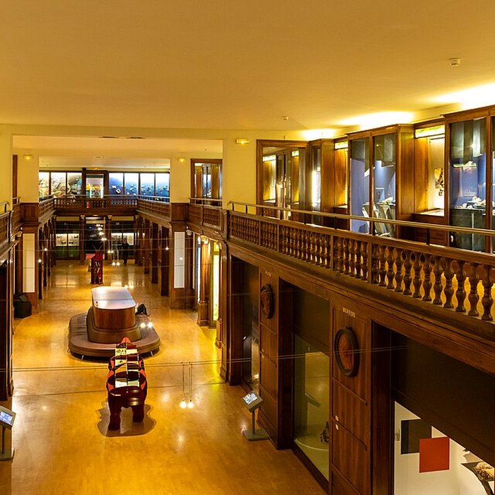 Photo de Muséum dhistoire naturelle de Grenoble