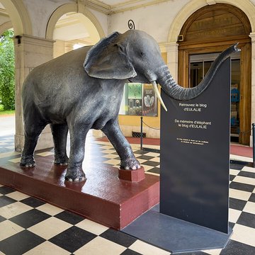 Muséum dhistoire naturelle de Grenoble