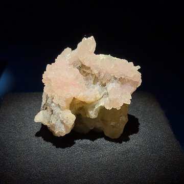 Muséum dhistoire naturelle de Grenoble