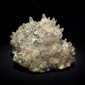 Muséum dhistoire naturelle de Grenoble