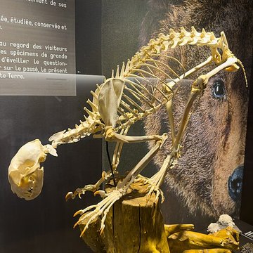 Muséum dhistoire naturelle de Grenoble