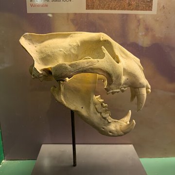 Muséum dhistoire naturelle de Grenoble