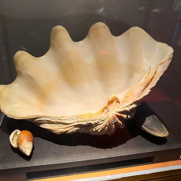 Muséum dhistoire naturelle de Grenoble