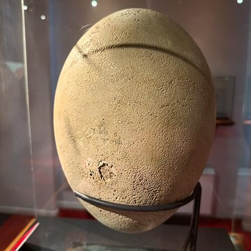 Muséum dhistoire naturelle de Grenoble