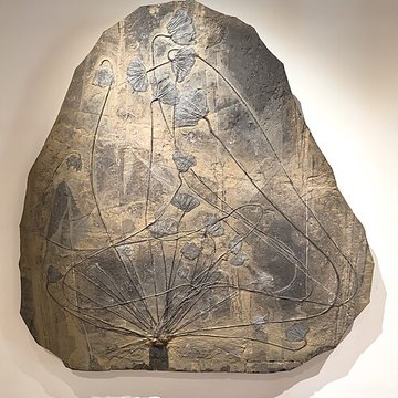 Muséum dhistoire naturelle de Grenoble