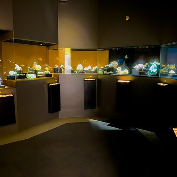 Muséum dhistoire naturelle de Grenoble