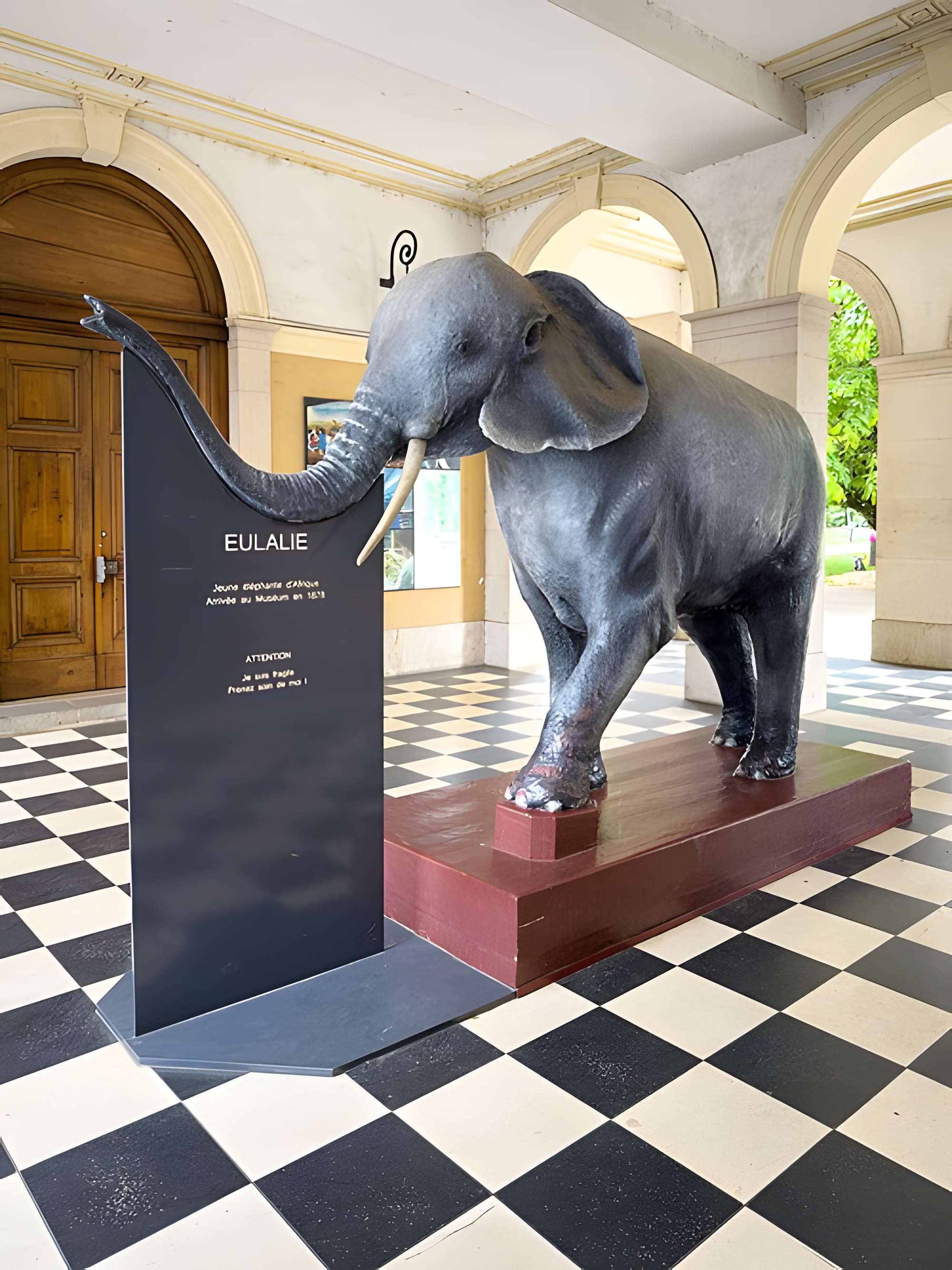 Muséum d'histoire naturelle de Grenoble