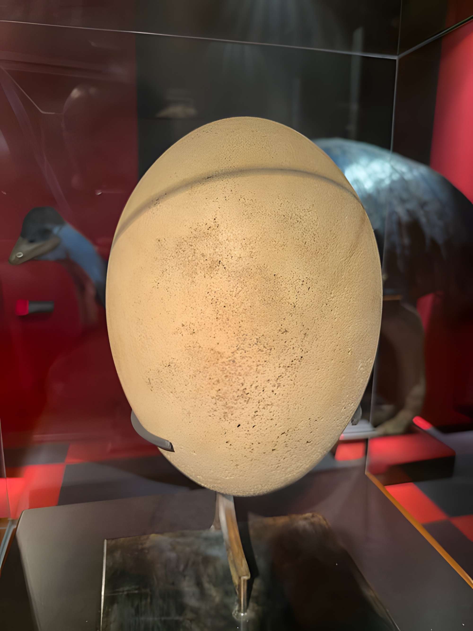 Muséum d'histoire naturelle de Grenoble